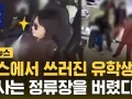 버스정류장을 버린' 버스 기사 썸네일